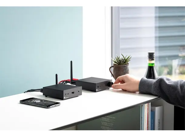 Pro-Ject Stream Box S2 Streamer - Sølv 