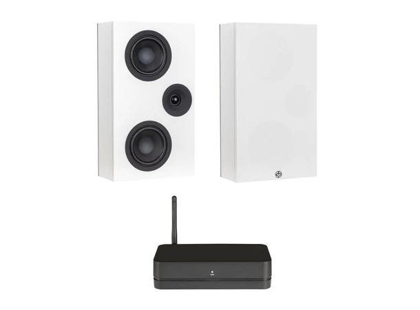 System Audio Legend 7.2 Silverback