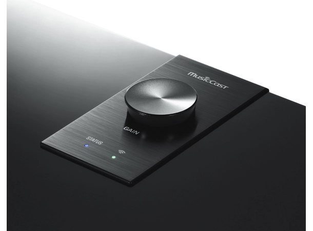 Yamaha MusicCast SUB 100 Subwoofer 8" 