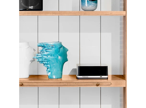 Cabasse Stream Amp - stereoforsterker
