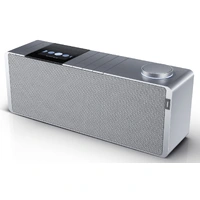 Loewe klang s1 light grey DAB+, Bluetooth, Nettradio
