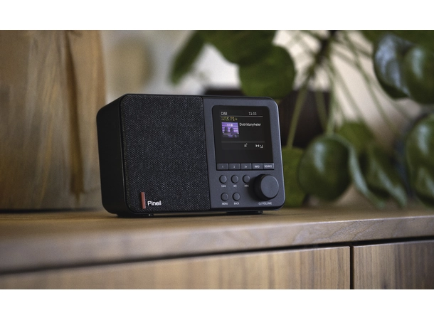 Pinell Supersound 001 Bærbar DAB radio med bluetooth 