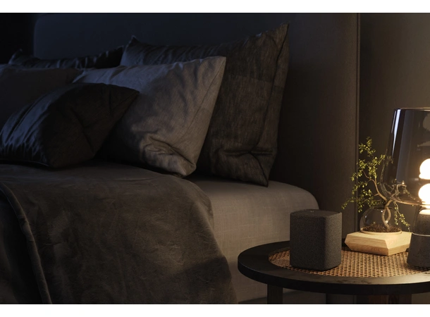 Yamaha True X SPEAKER 1A - Karbongrå Trådløs høyttaler 