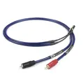 Chord ClearwayX 2xRCA til 5DIN (hann) Analog signalkabel - 2 meter
