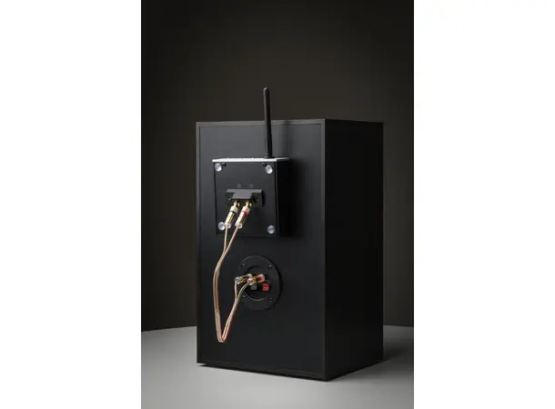 Pro-Ject Wireless Box E Wiim kompatibel strømmeforsterker 
