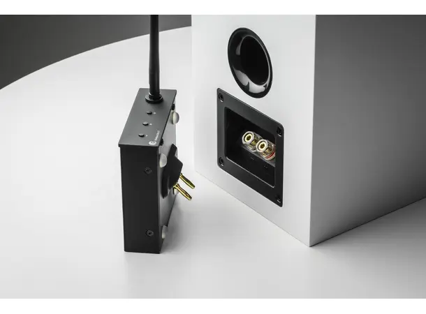 Pro-Ject Wireless Box E Wiim kompatibel strømmeforsterker 