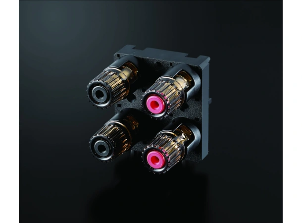 Yamaha R-N1000A - Sort (DEMO) Stereoreceiver med MusicCast 