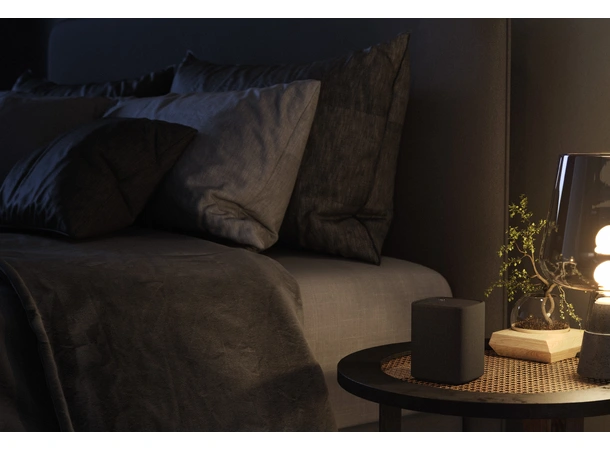 Yamaha True X SPEAKER 1A - DEMO Trådløs Bluetooth høyttaler 
