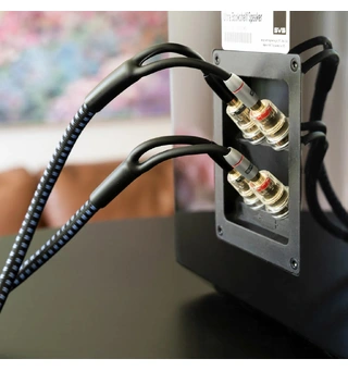 SVS Soundpath Ultra Bi-Wire - stk Bi-Wire høyttalerkabel  - 3 meter
