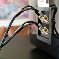 SVS Soundpath Ultra Bi-Wire - stk Bi-Wire høyttalerkabel  - 3 meter
