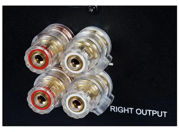 Electrocompaniet AW250R Mono 2-pack 2 stk. effekforsterkere med brokobling 