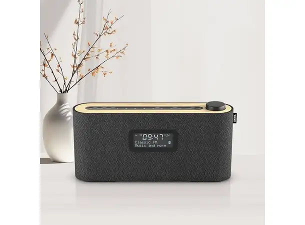 Loewe radio.frequency Oppladbar Dab-radio med Bluetooth 