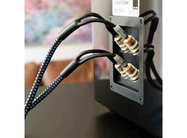 SVS Soundpath Ultra Bi-Wire - stk Bi-Wire høyttalerkabel  - 6 meter 