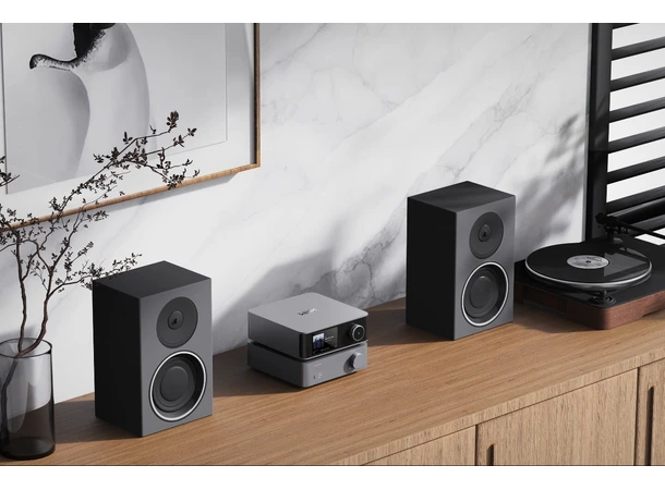 Wiim Ultra & Wiim Vibelink - Grå Stereopakke med streamer og forsterker 