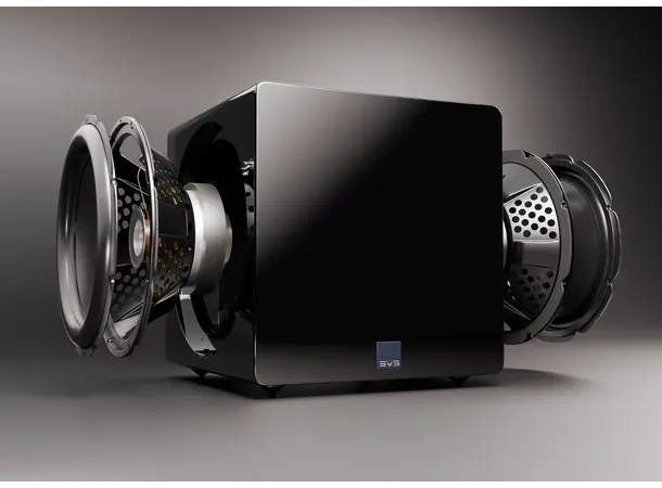SVS 3000 Micro E/evolution subwoofer 2 x 9"