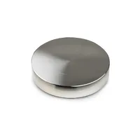 Pro-Ject Record Puck Pro Plateklemme