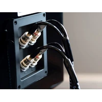 SVS Soundpath Ultra - stk Høyttalerkabel - 2,4 meter