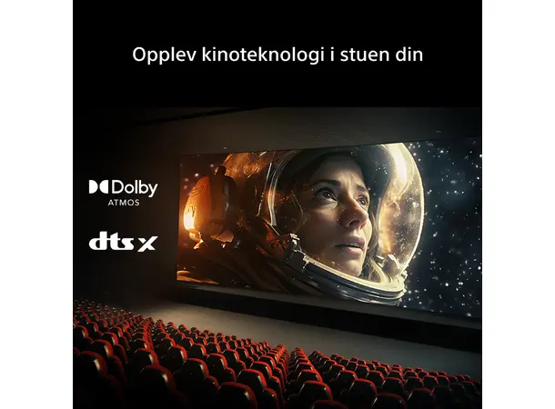 Sony Bravia Theatre Bar 5 Lydplanke med trådløs subwoofer 