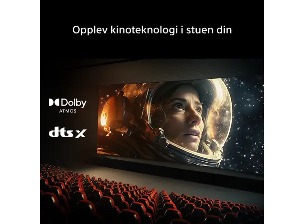 Sony Theatre Bar 5 Trådløse bakhøyttalere 