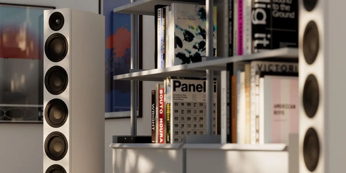 System audio silverback 60.2 DS