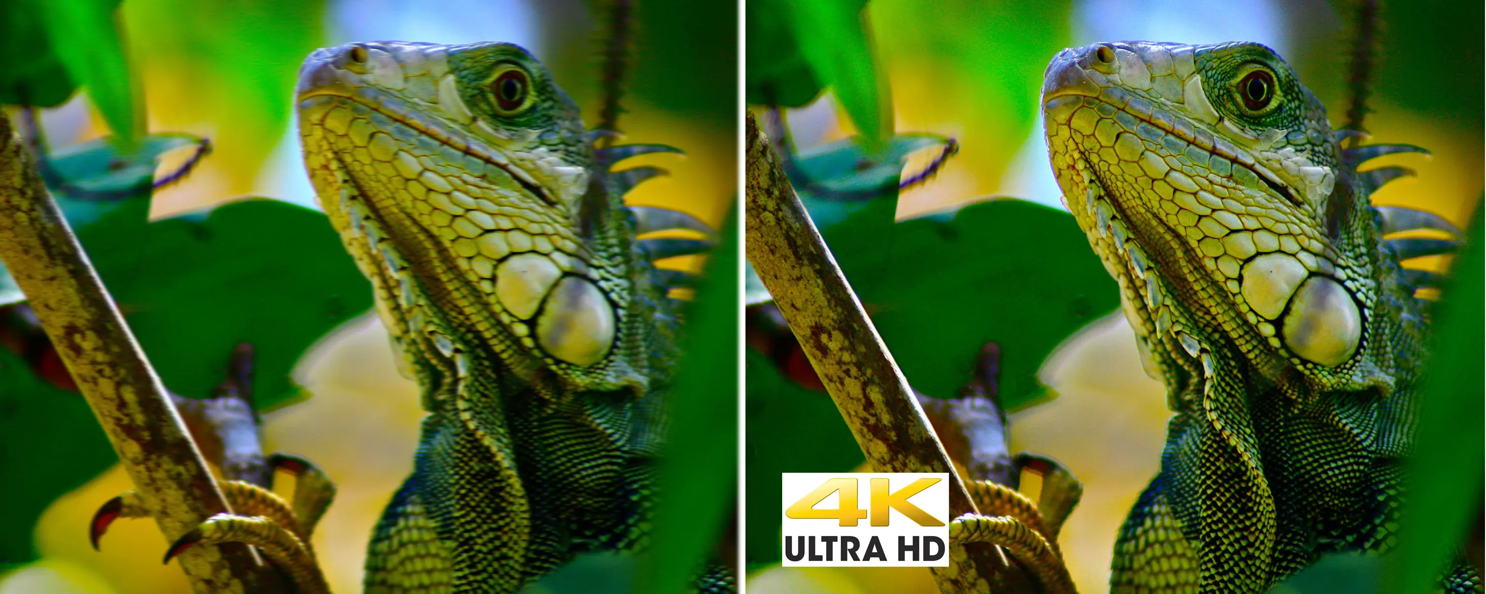 Optoma UHZ68LV 4K Ultra HD